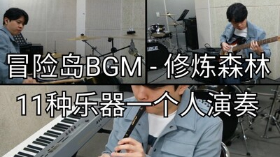 【冒险岛·BGM】 修炼森林 11种乐器一人演奏 Hoonjin PARK